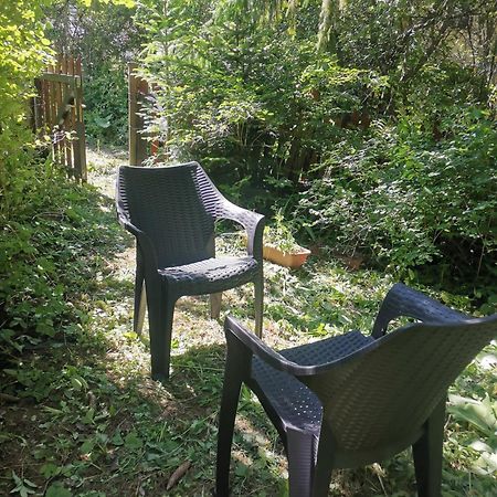 Cosy 2 Rooms Apartment With A View Near The Forest Predeal Exterior photo