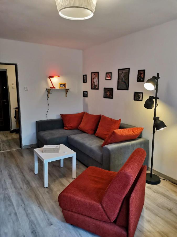Cosy 2 Rooms Apartment With A View Near The Forest Predeal Exterior photo