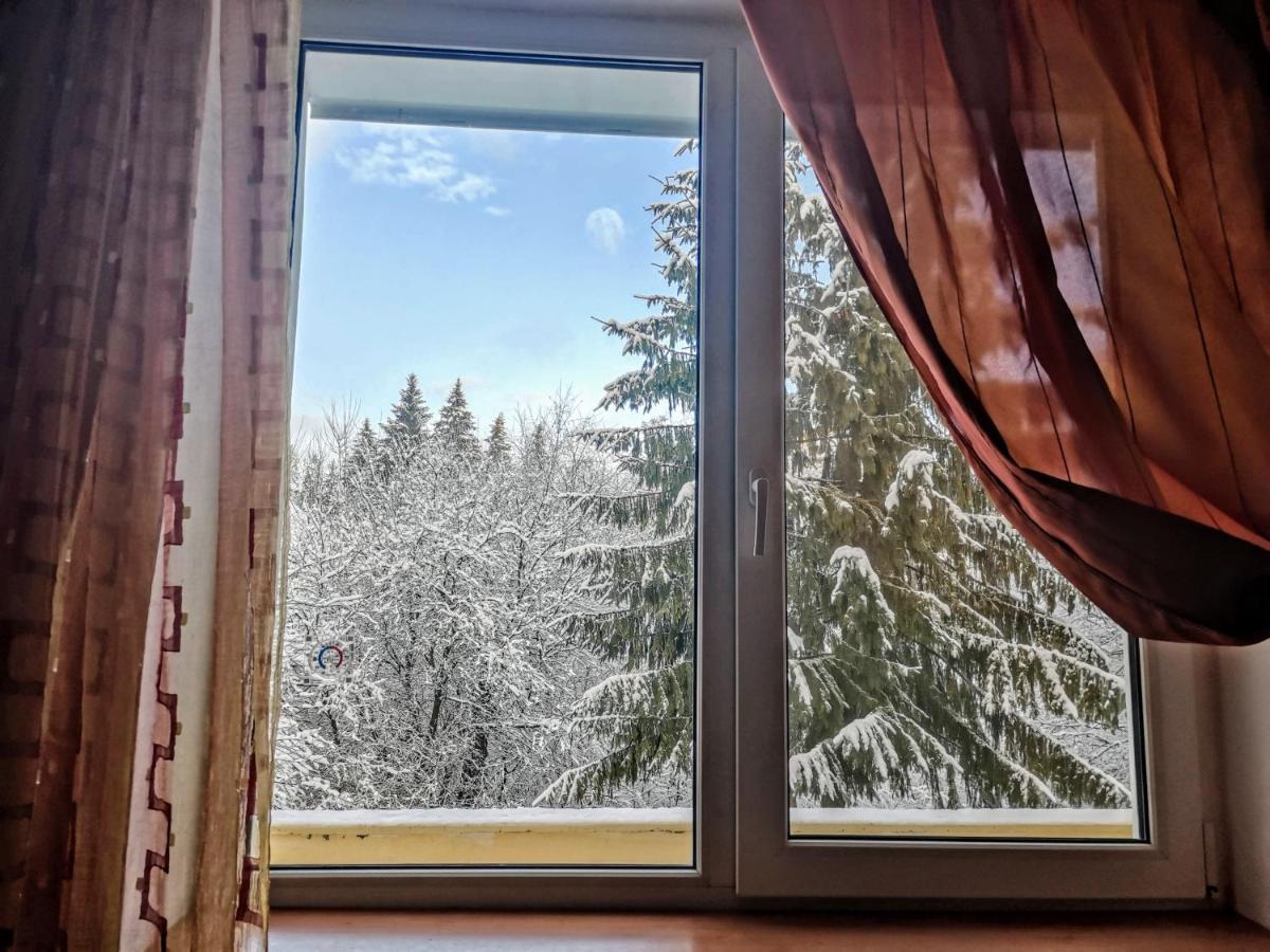 Cosy 2 Rooms Apartment With A View Near The Forest Predeal Exterior photo