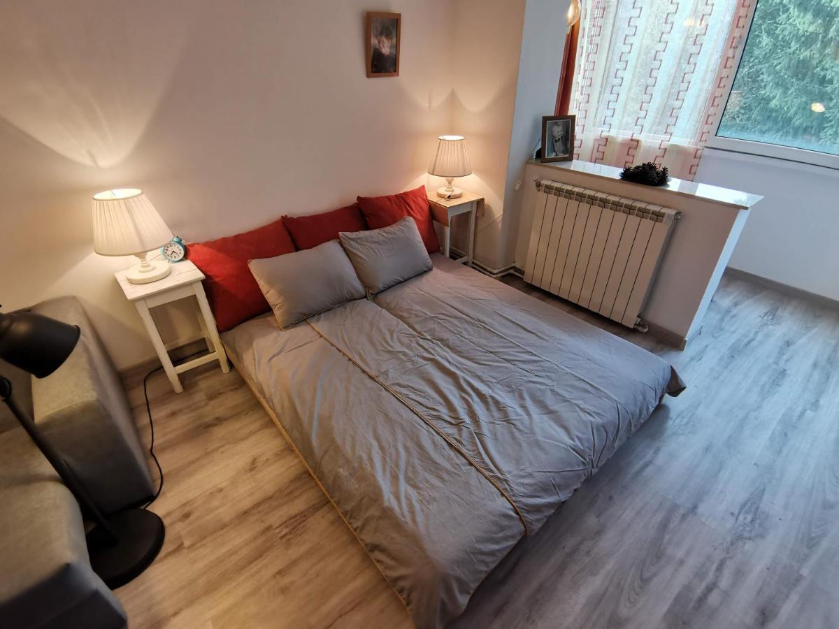 Cosy 2 Rooms Apartment With A View Near The Forest Predeal Exterior photo