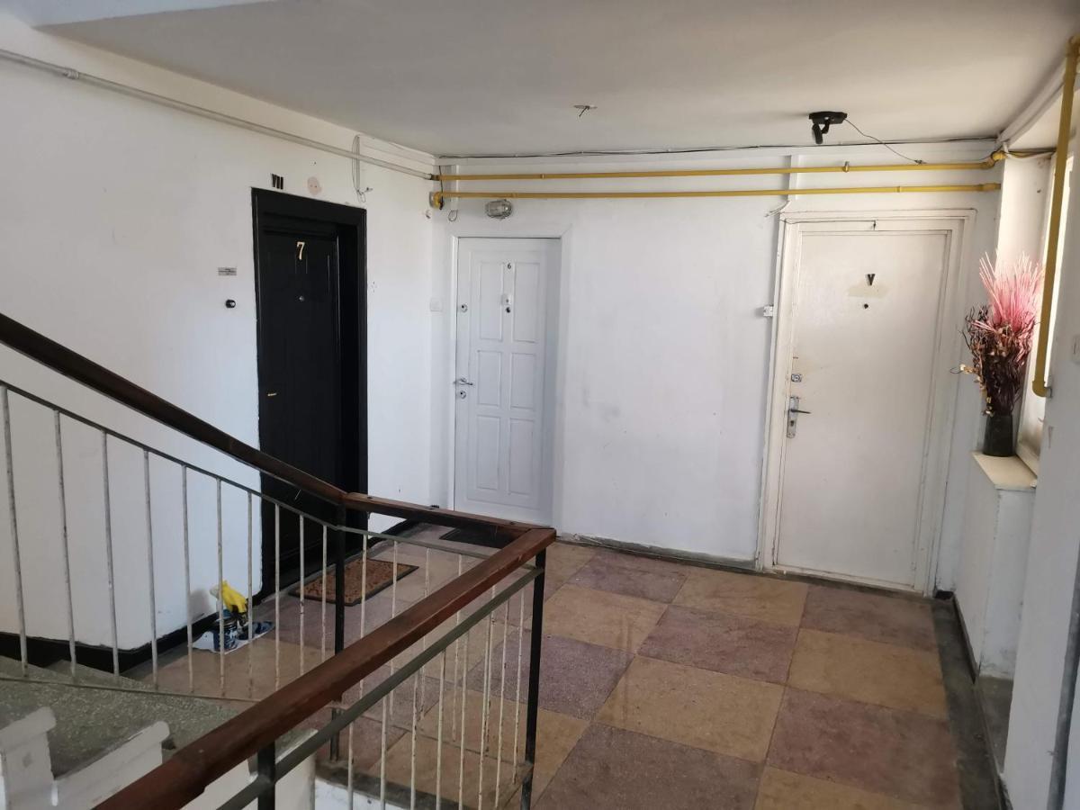Cosy 2 Rooms Apartment With A View Near The Forest Predeal Exterior photo